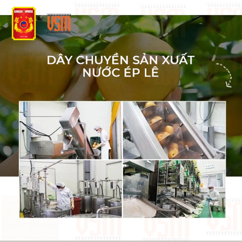 Hộp 10 gói Nước Ép Lê hàn Quốc Nguyên Chất 100% Ginseng House 