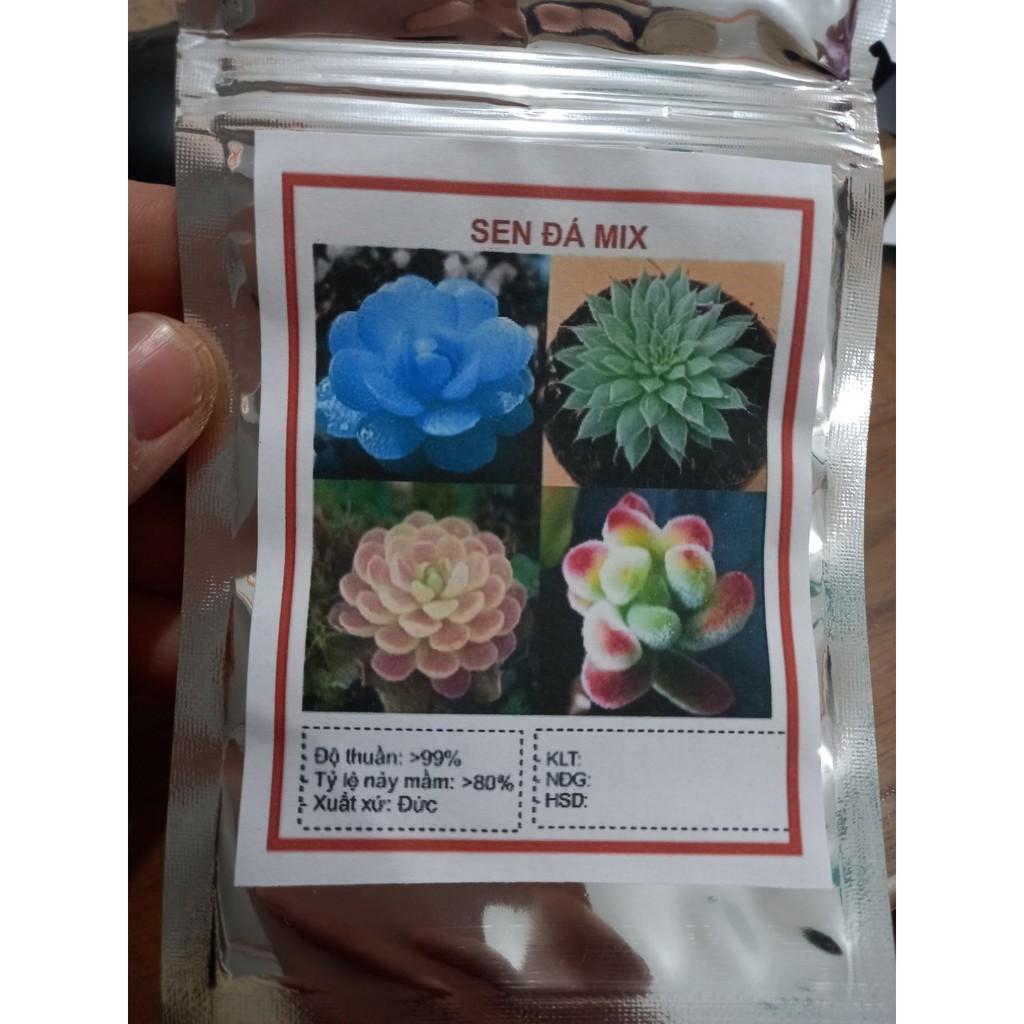 179A Gói 20 hạt giống sen đá mix màu