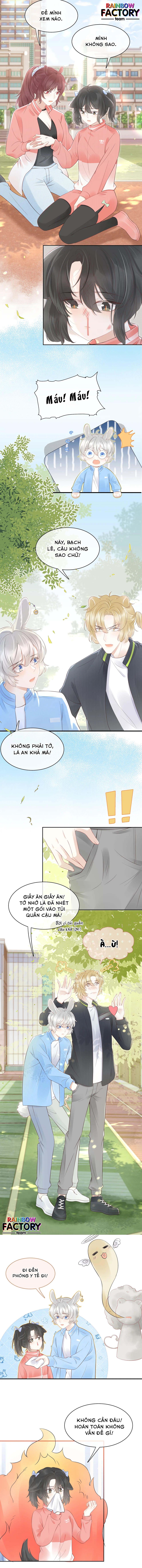 ăn một bé thỏ chapter 41 5