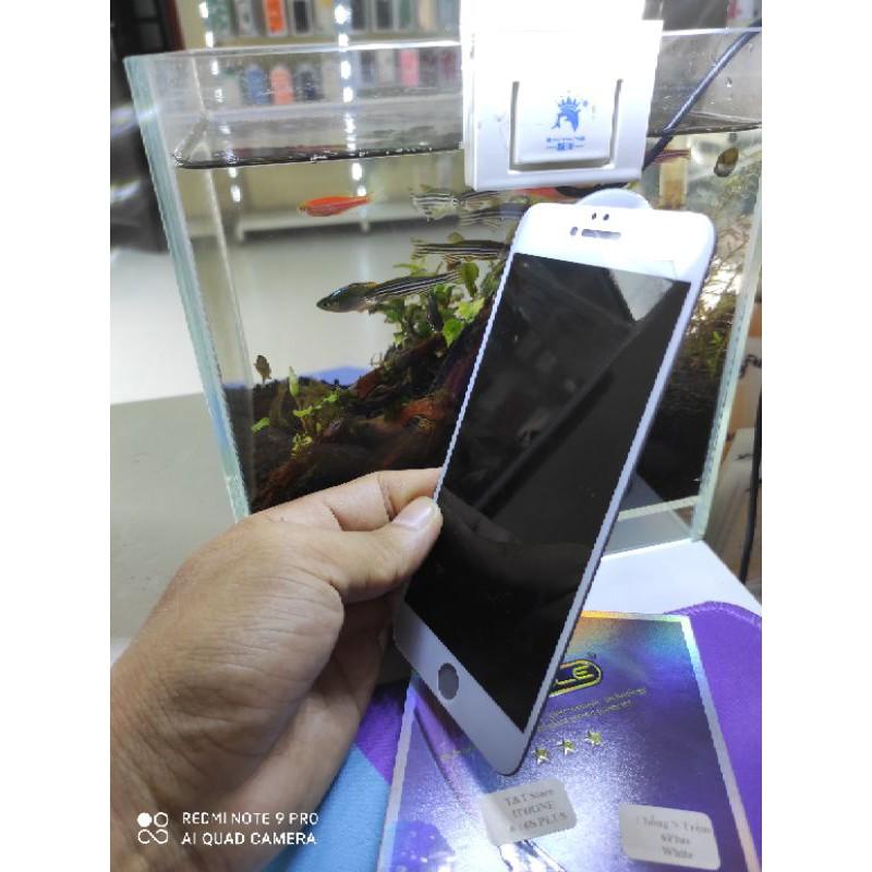 Kính chống nhìn trộm Full D