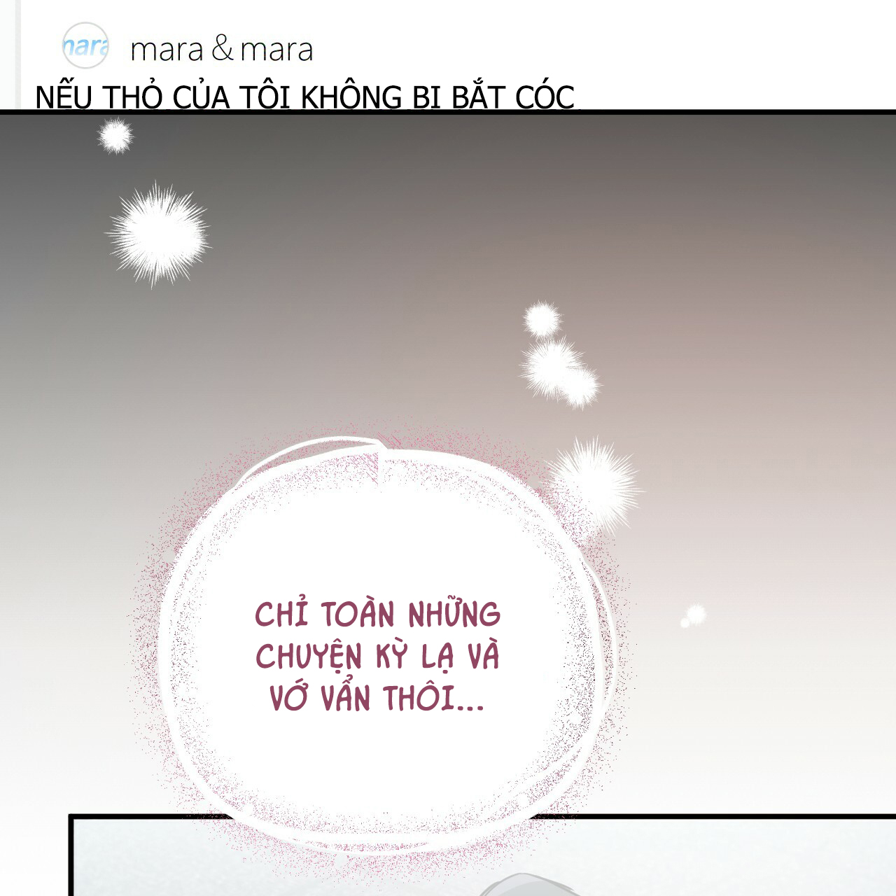 những chú thỏ của hapypy chapter 20 80