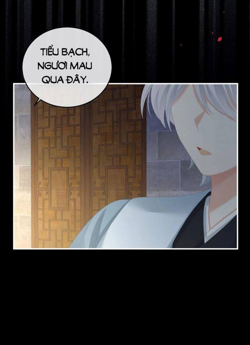 hậu cung của nữ đế chapter 274.1 7