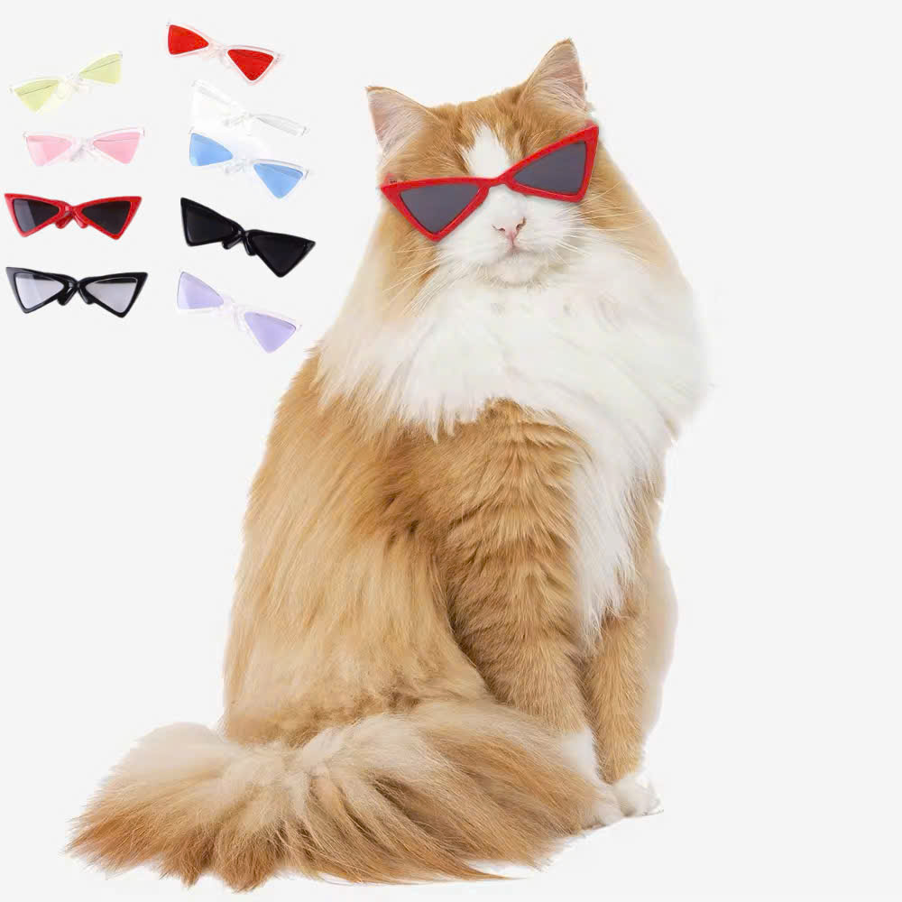 MẮT KÍNH KÍNH RÂM KÍNH MÁT NGỘ NGHĨNH TAM GIÁC SIÊU XINH SANG CHẢNH MÃ 1 CHO THÚ CƯNG CHÓ MÈO