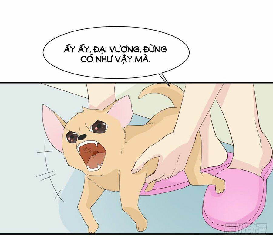 nguyệt lão không cho phép tôi yêu đương chapter 3 48