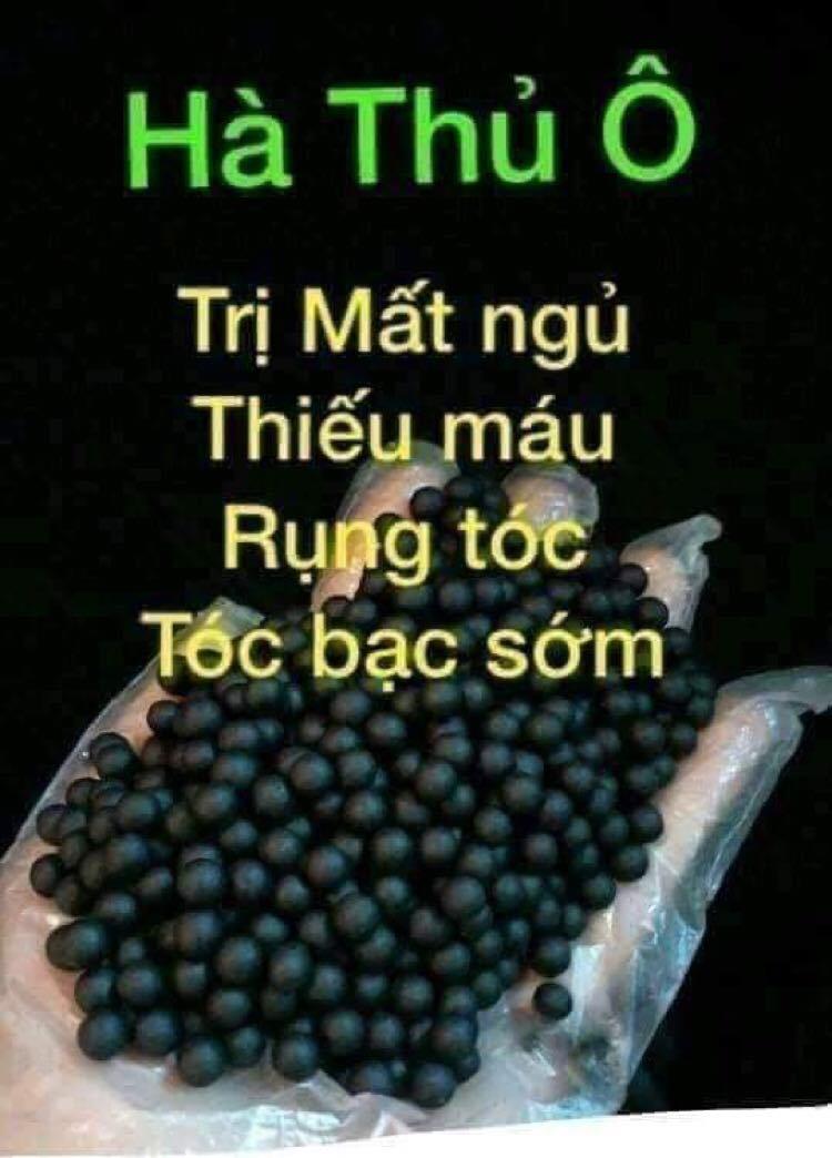 Viên HÀ THỦ Ô