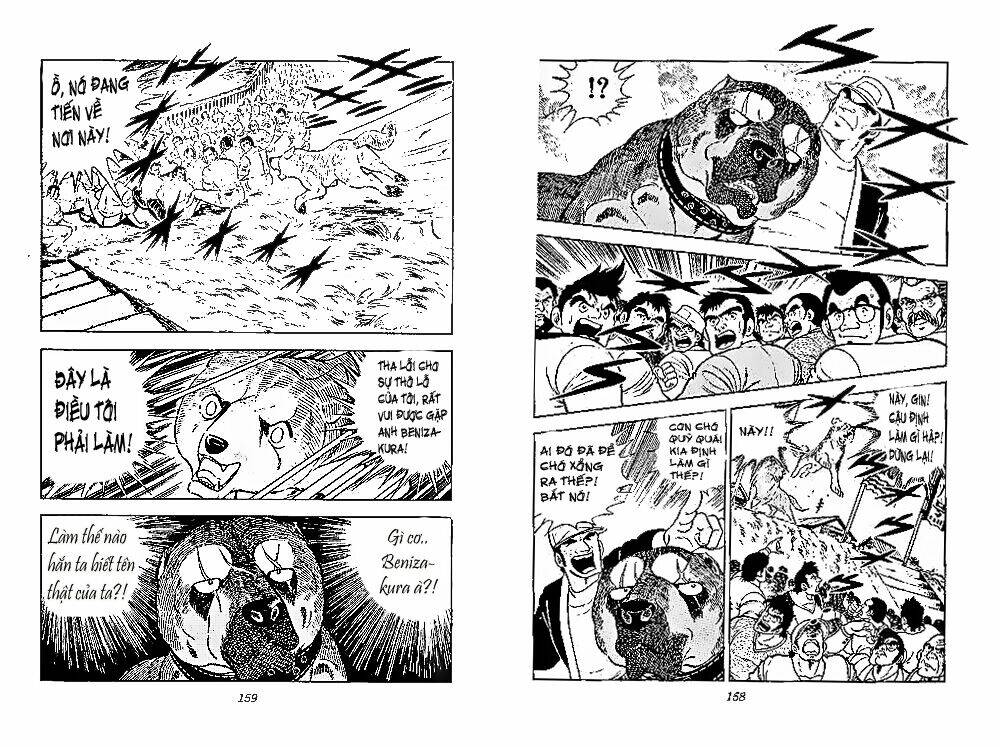 chú chó có nghĩa - ginga nagareboshi gin chapter 28 18