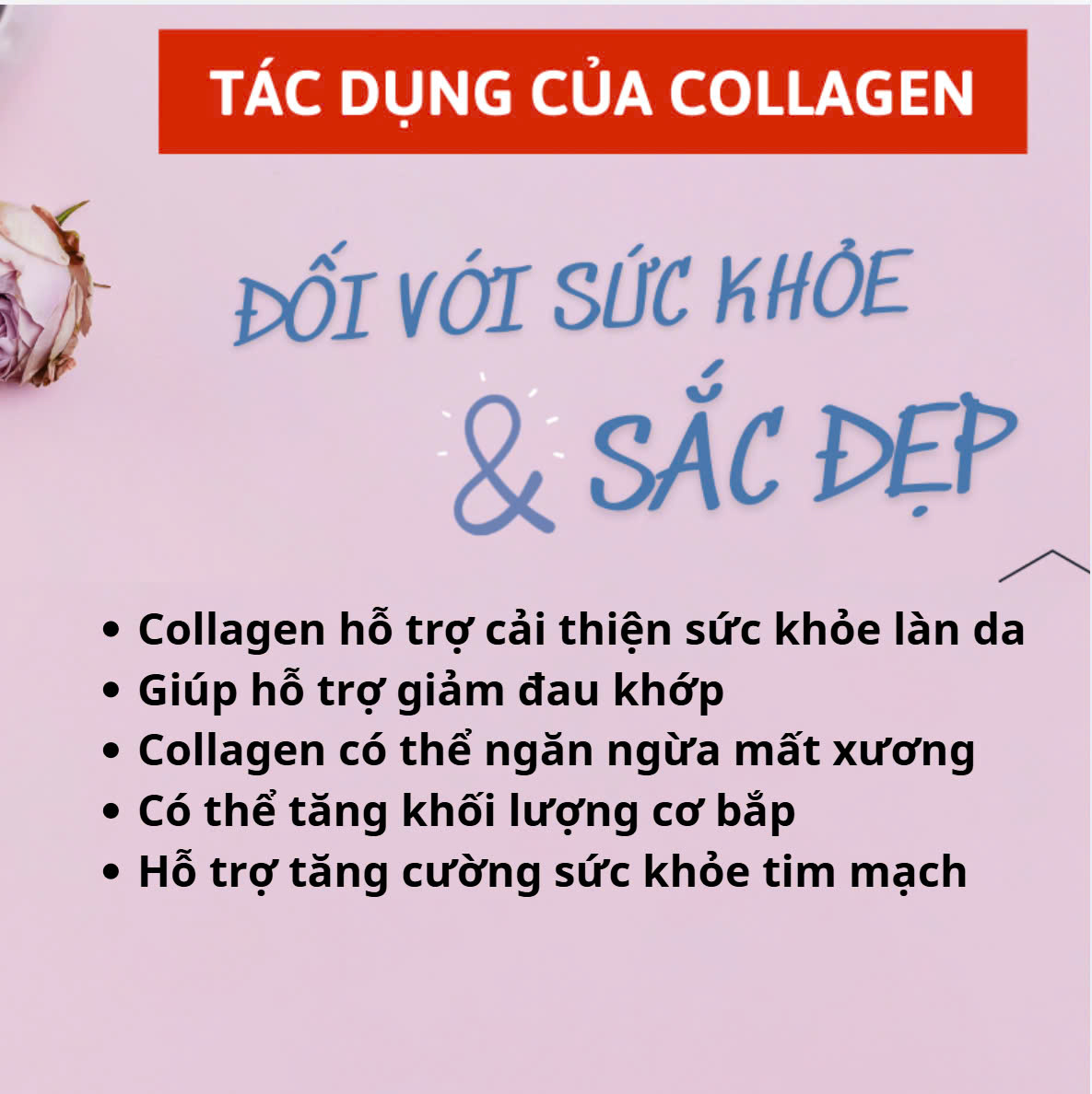 Sữa hạt Nanovi Beutee Nuts – kết hợp 25 loại hạt hộp 900g