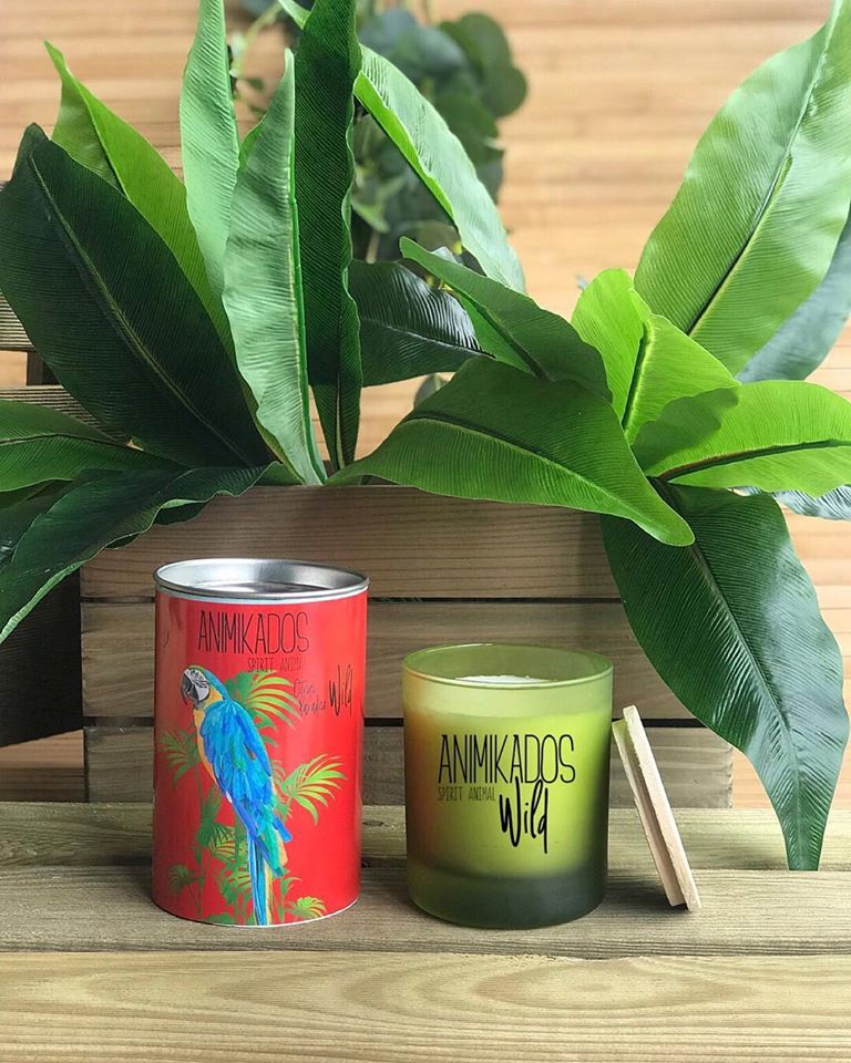 Nến thơm tinh dầu Ambient Parrot mùi Citrus Paradise