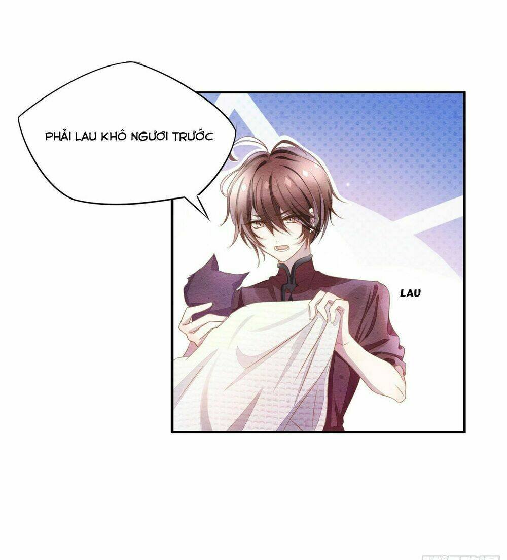 làm mèo của ta chapter 1 19