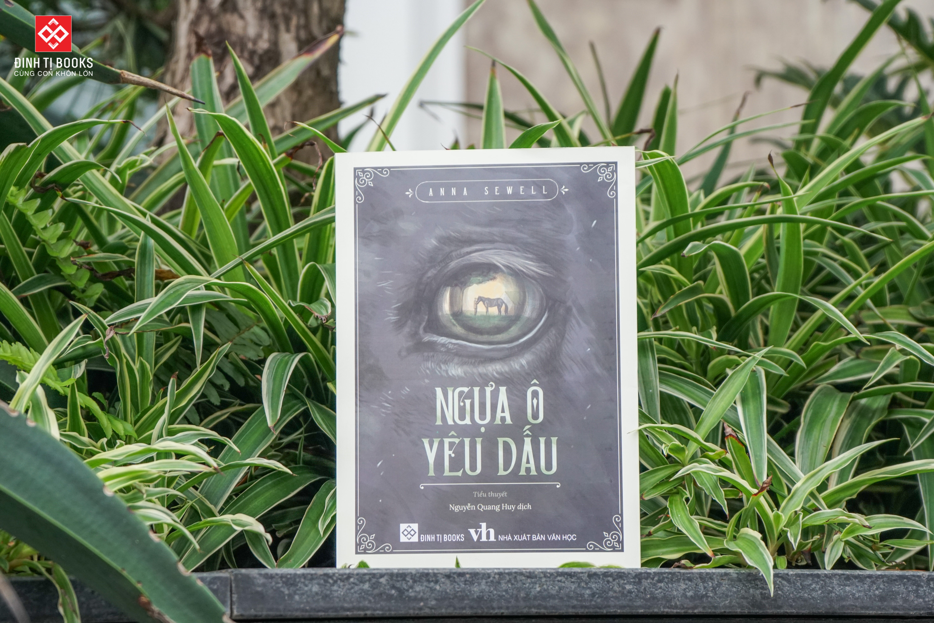 Sách - Ngựa ô yêu dấu Anna Sewell - Đinh Tị Books