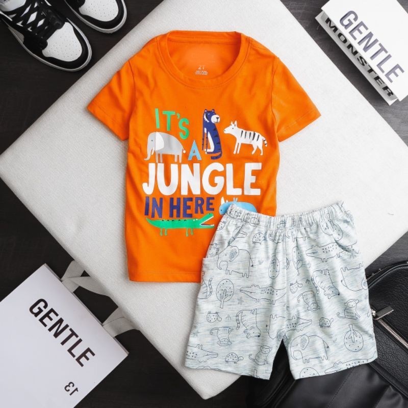 Bộ cotton thun cho bé trai 2-8t
