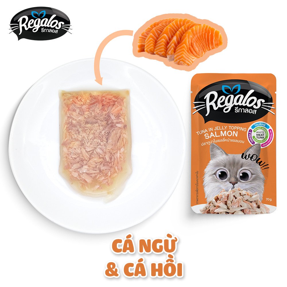 Combo 5 gói thức ăn ướt cho mèo Regalos Thái Lan vị cá ngừ và cá hồi
