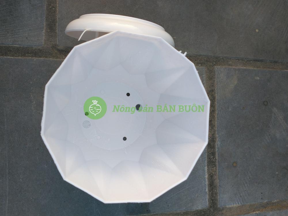 10 Chậu nhựa Múi Khế trắng trơn 140x115 có kèm Đĩa Lót, trồng xương rồng, sen đá, cây cảnh mini để bàn