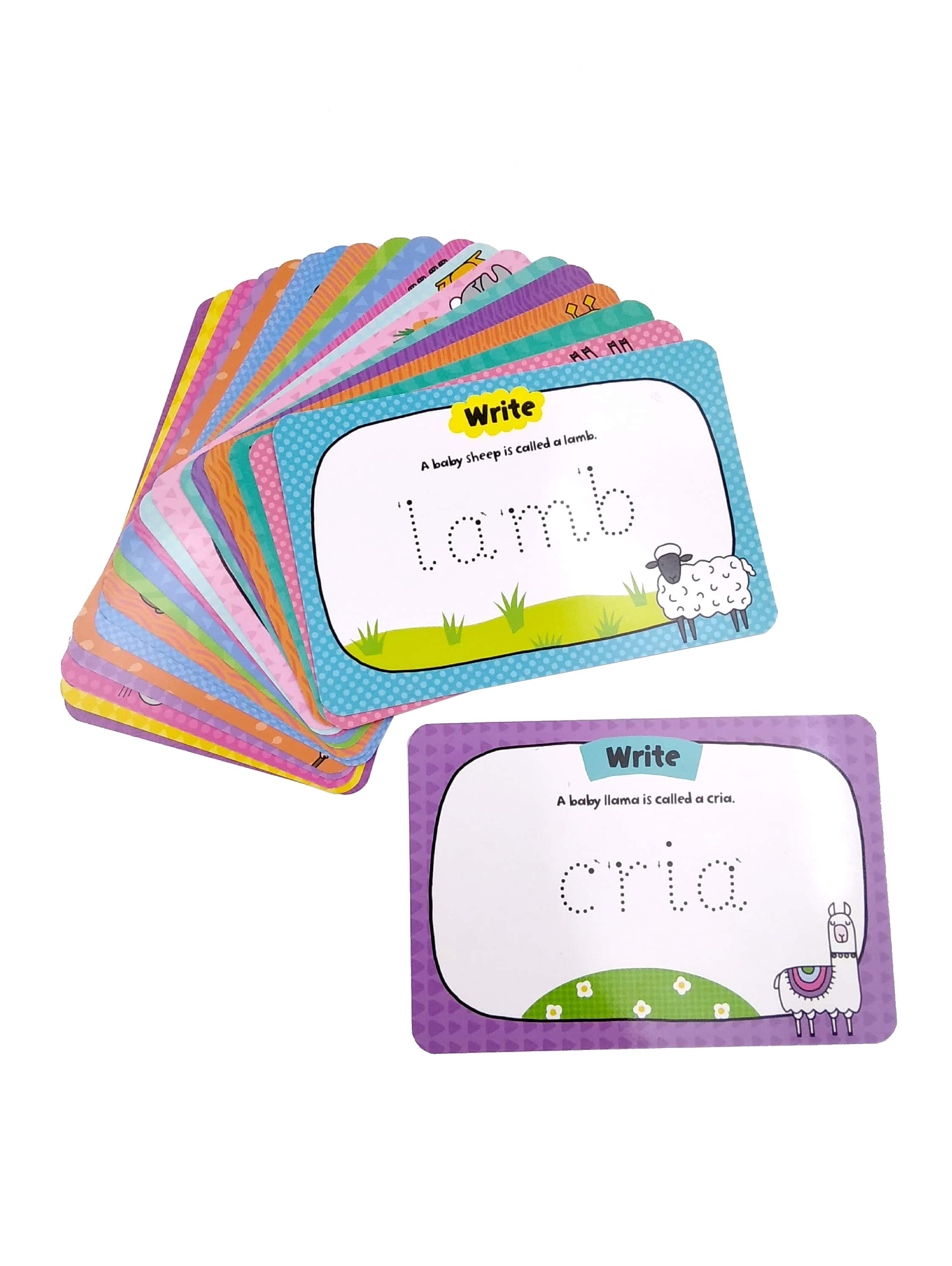 LCD Tablet &amp; Flashcards - Baby Animals