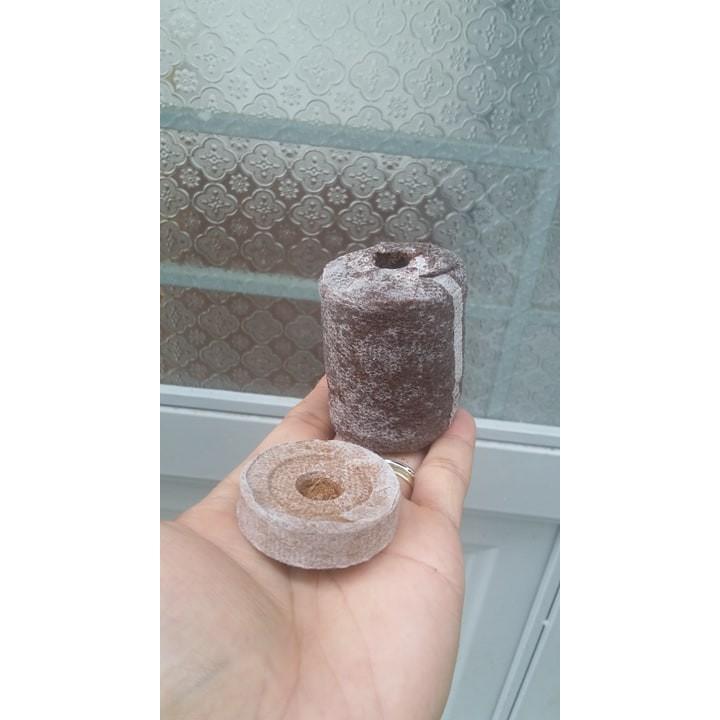 10 viên nén ươm hạt