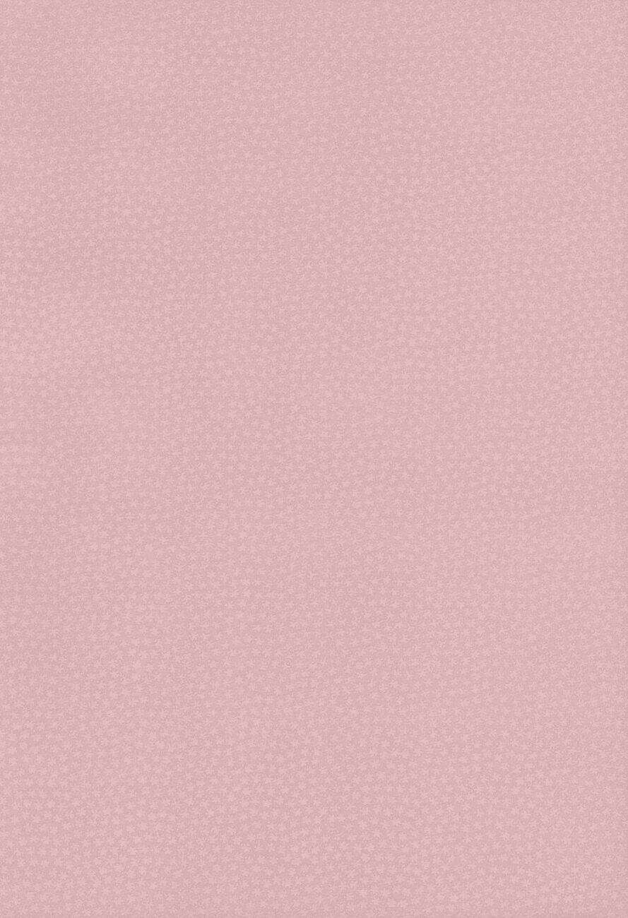 touhou - soga no tojiko wa koranai wa no shou chapter 0 3