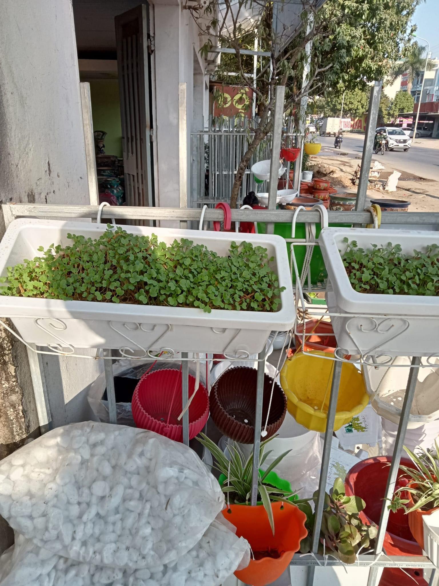 Chậu nhựa thông minh trồng rau trồng hoa, hình chữ nhật -- kèm giá sắt treo chậu kích thước 48x20x16cm