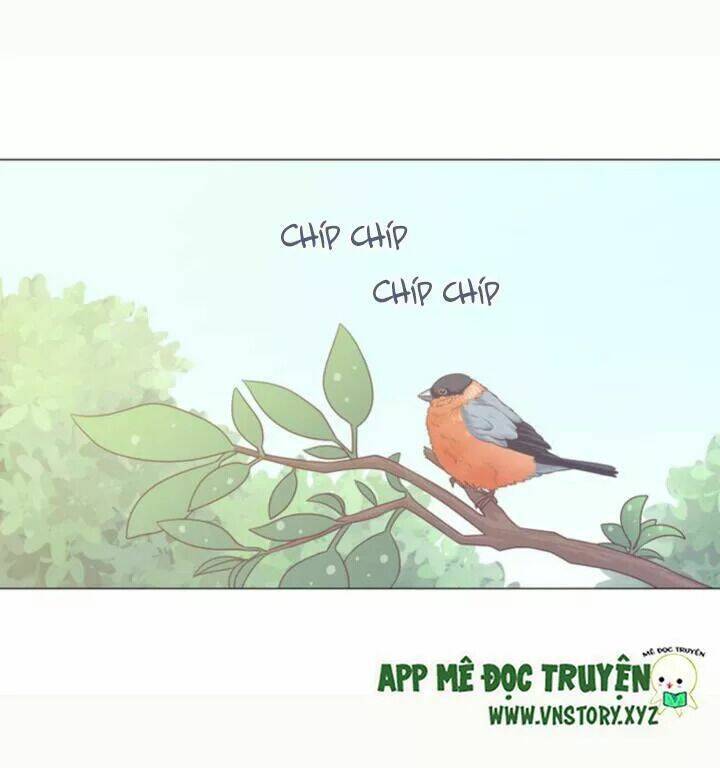 xin chào! dân nữ chapter 57 43