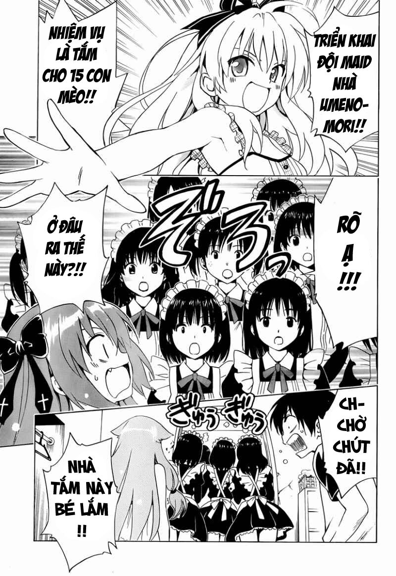 mayoi neko overrun! chapter 7 12