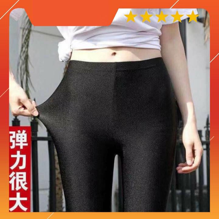 Quần legging popular túi gấu xinh