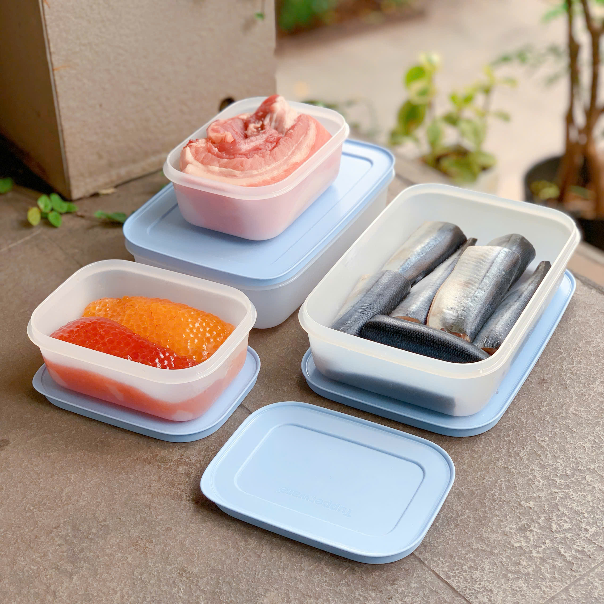 Bộ 4 hộp đựng thực phẩm Tupperware trữ đông Gen II 450ml và 1L