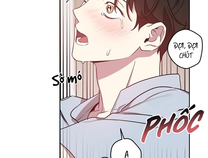 thần tượng đến rồi!? chapter 17 41