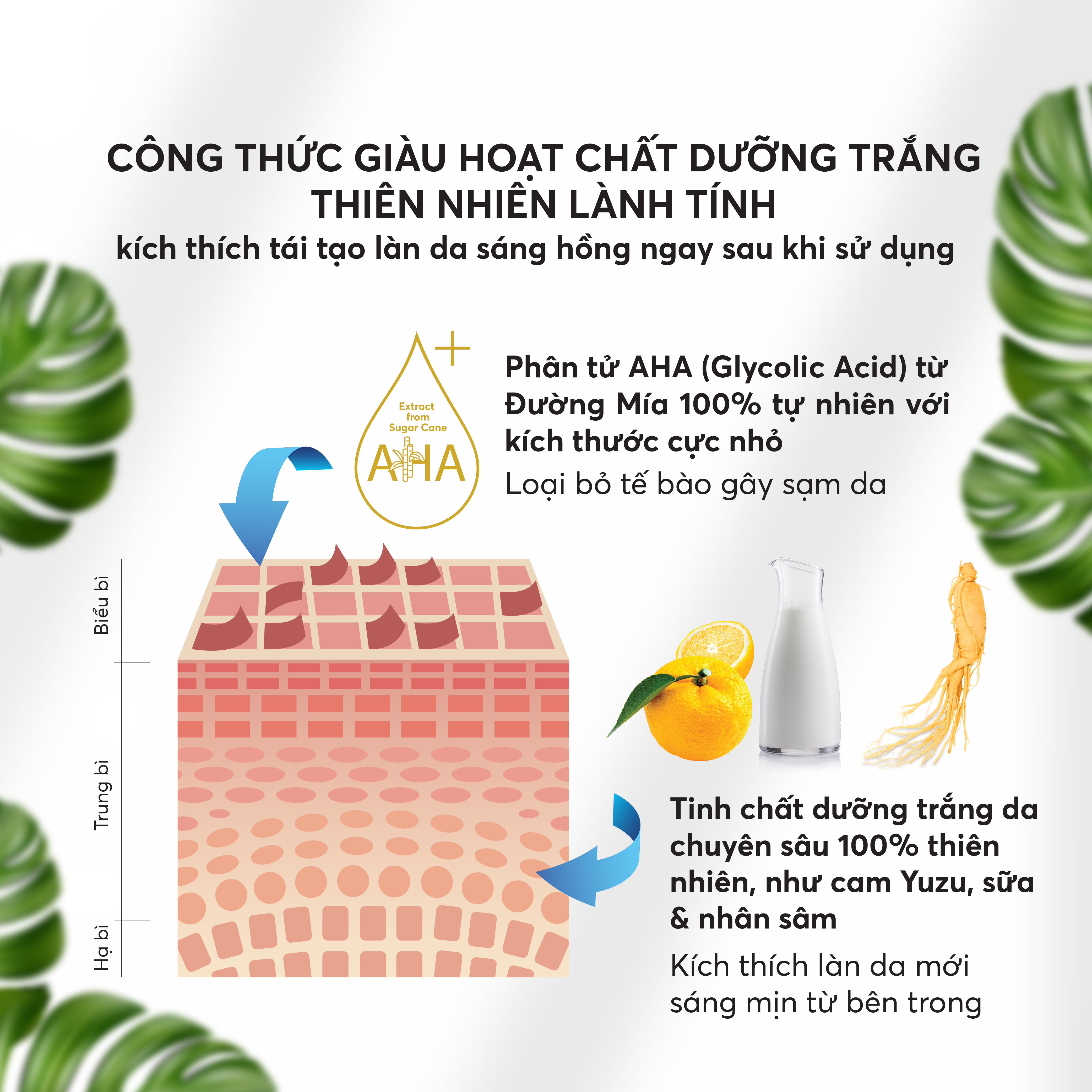 Mặt Nạ Ủ Trắng Da Toàn Thân Felina AHA Từ Đường Mía &amp; Tinh Chất Dưỡng Da Nhân Sâm 100% Thiên Nhiên 120G