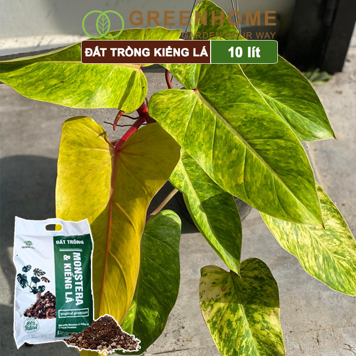 Đất trồng Monstera, kiểng lá, bao 10 lít , giá thể trộn sẵn, đầy đủ chất Tropical Premium |Greenhome