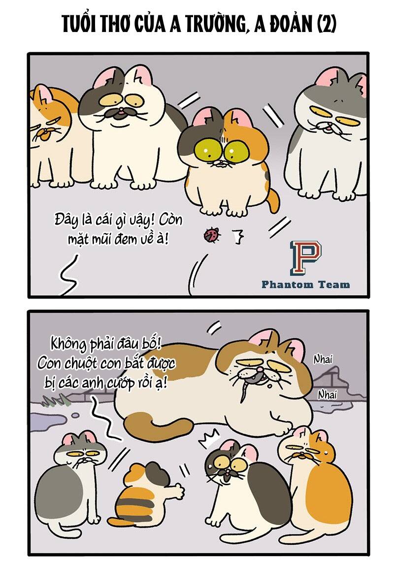 a mãn và mạch trà chapter 50.2 3