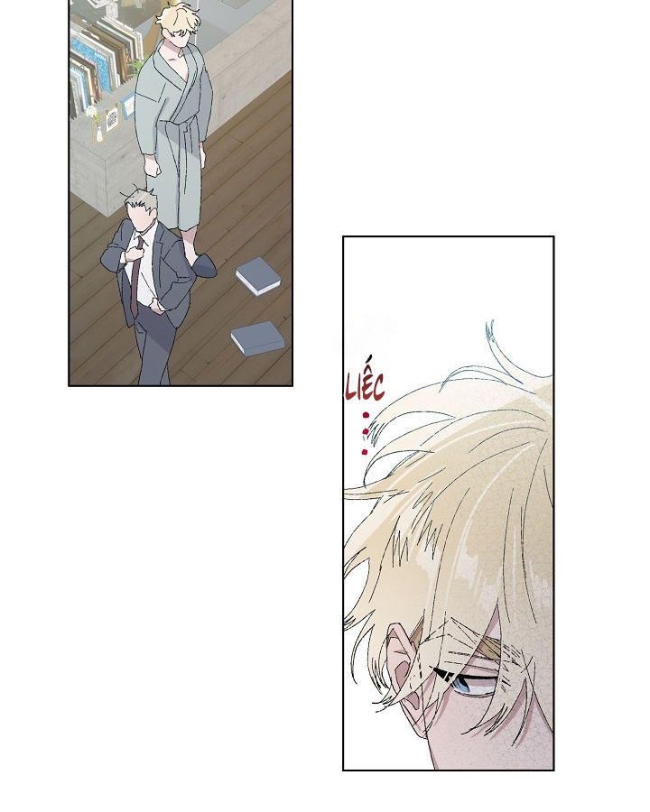 chàng tuấn mã của tôi chapter 26 31