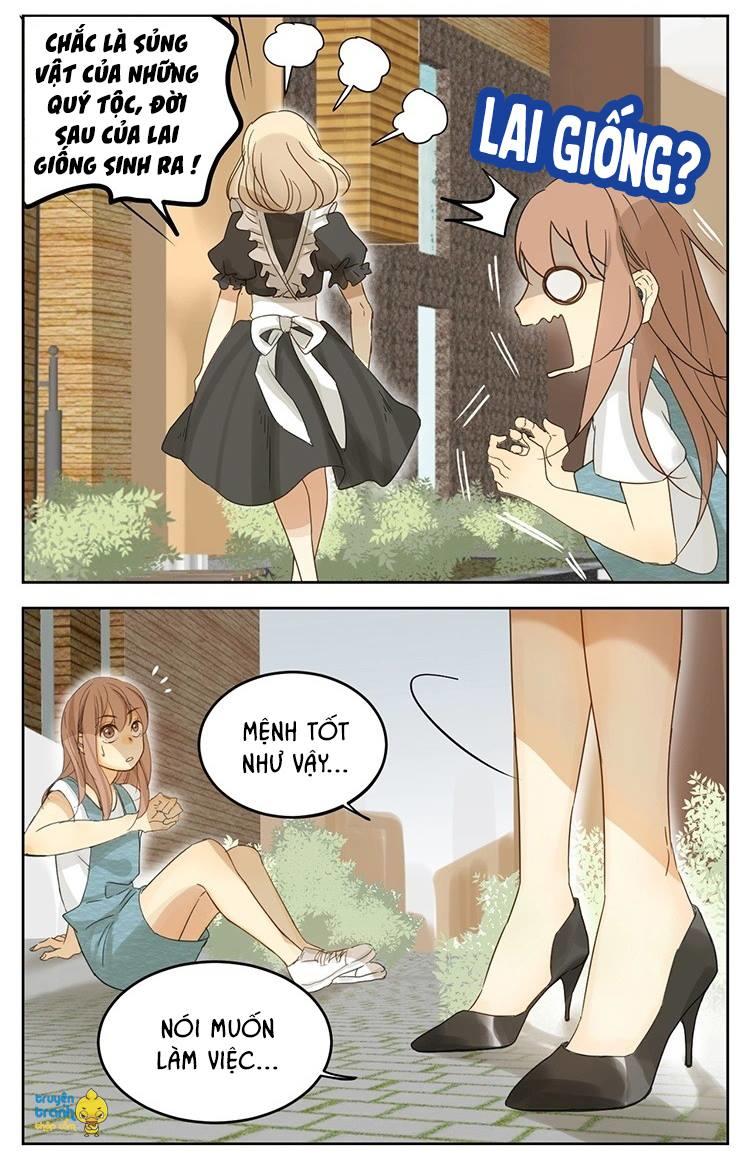 cứu mạng ! loài mèo thống trị thế giới rồi ! chapter 12 10