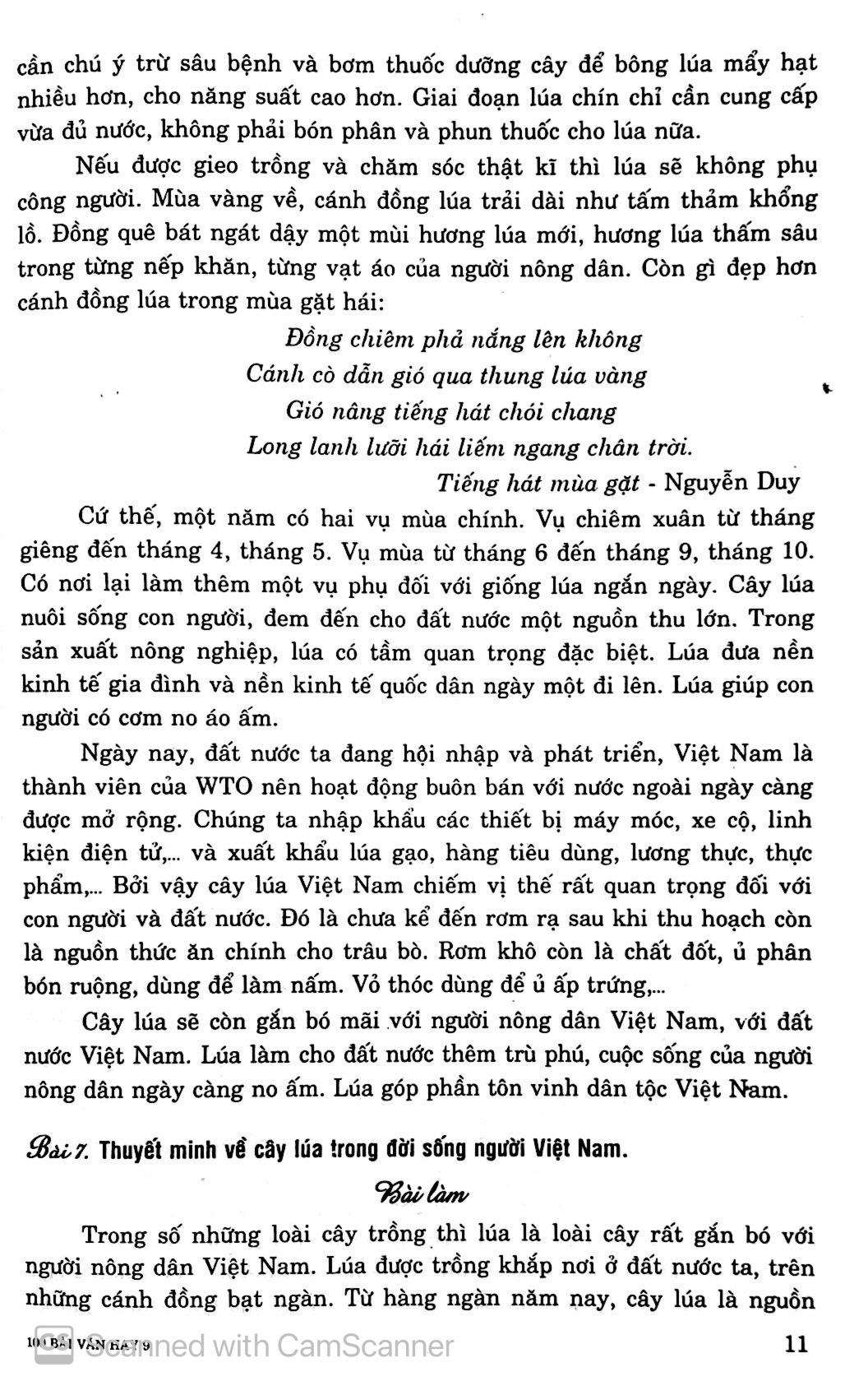 100 Bài Văn Hay Lớp 9