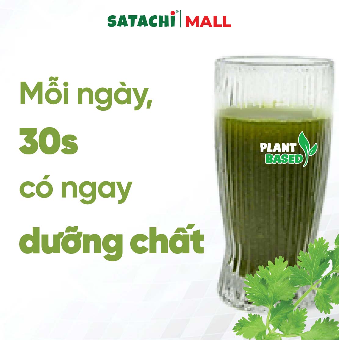 Bột Ngò Rí Nguyên Chất SATACHI – 100% ngò rí tươi, không đường – Hộp 86g