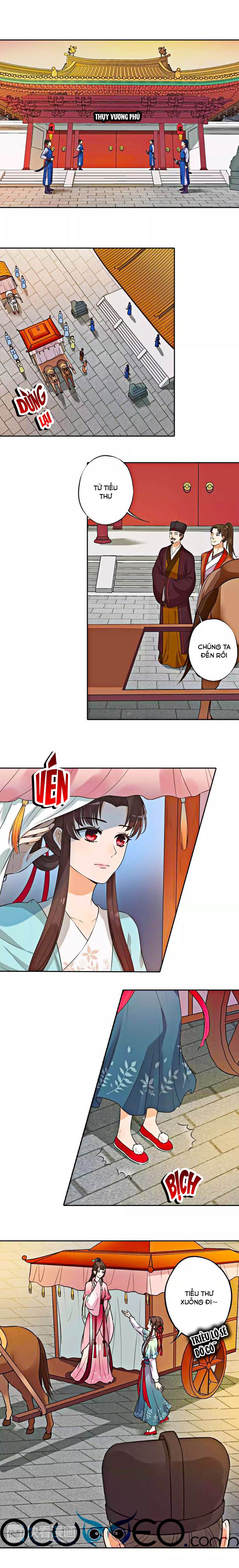 mỹ nhân già rồi chapter 3 1