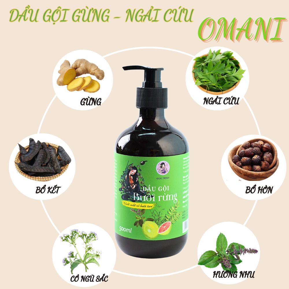 Dầu Gội Bưởi Rừng - Kích Thích Mọc Tóc 500ml