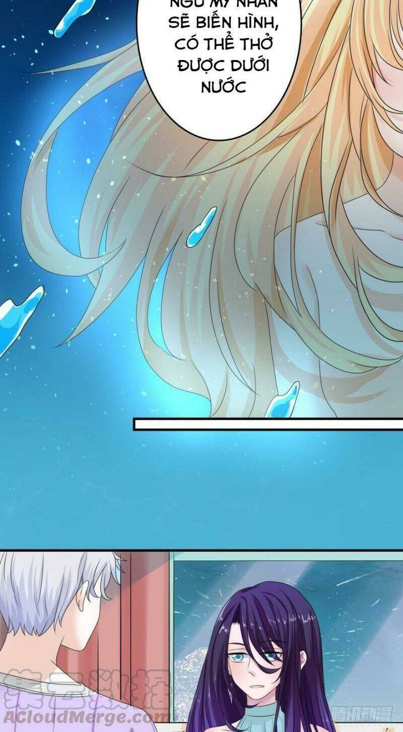 nhân ngư học trưởng, đừng ôm ta! chapter 51 6