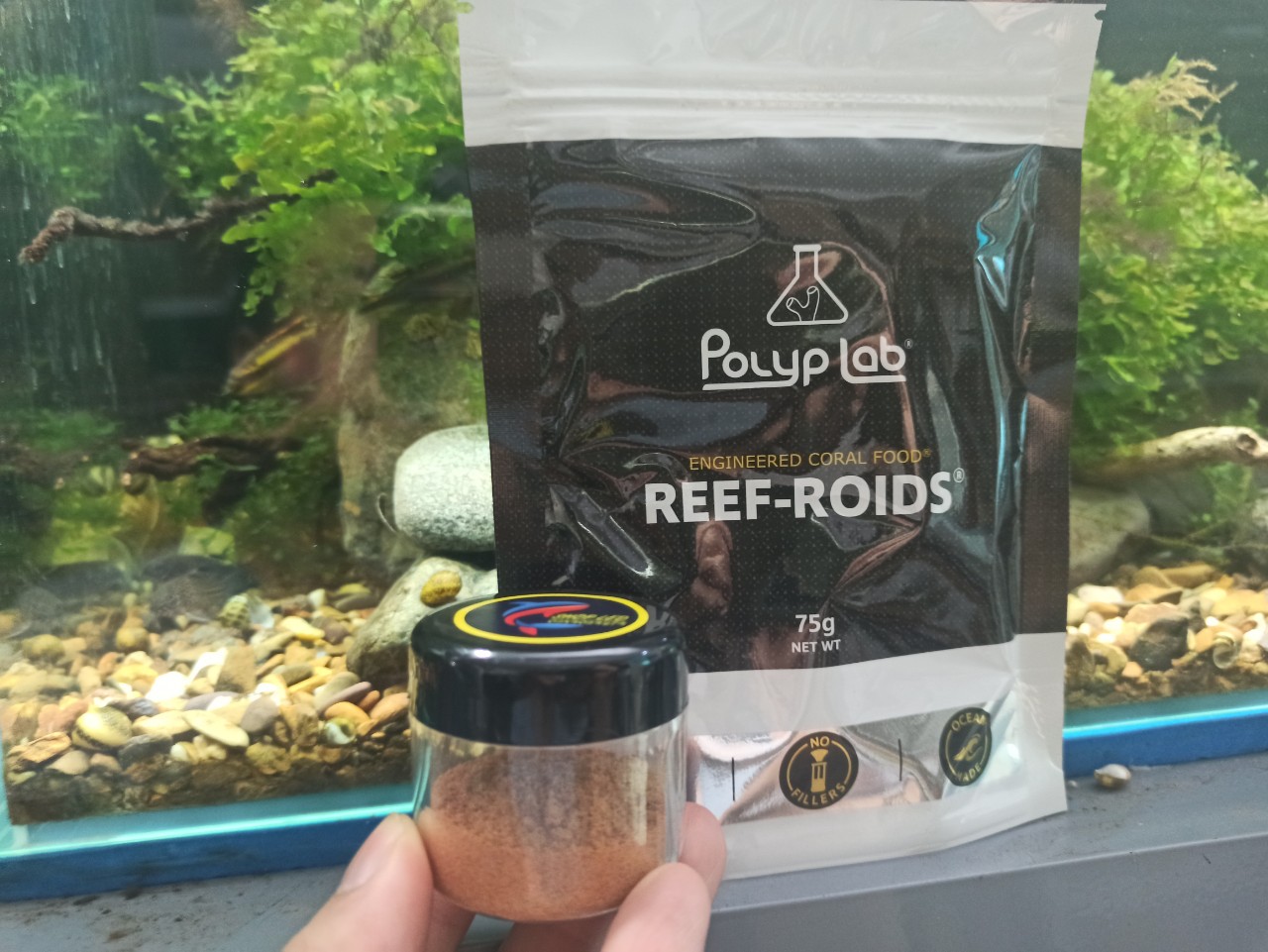 Thức ăn san hô Reef Roids Polyp Lab -TĂNG MÀU VÀ TĂNG TRƯỞNG cho san hô-Thức ăn hàng đầu cho san hô trong bể cá biển