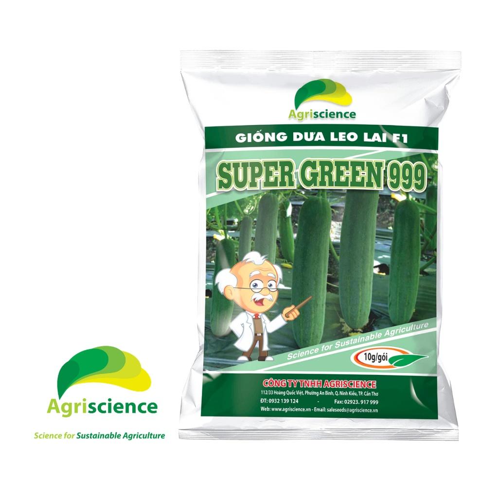 Hạt Giống Dưa Leo SUPER GREEN 999 -( 10gram hơn 400 hạt )