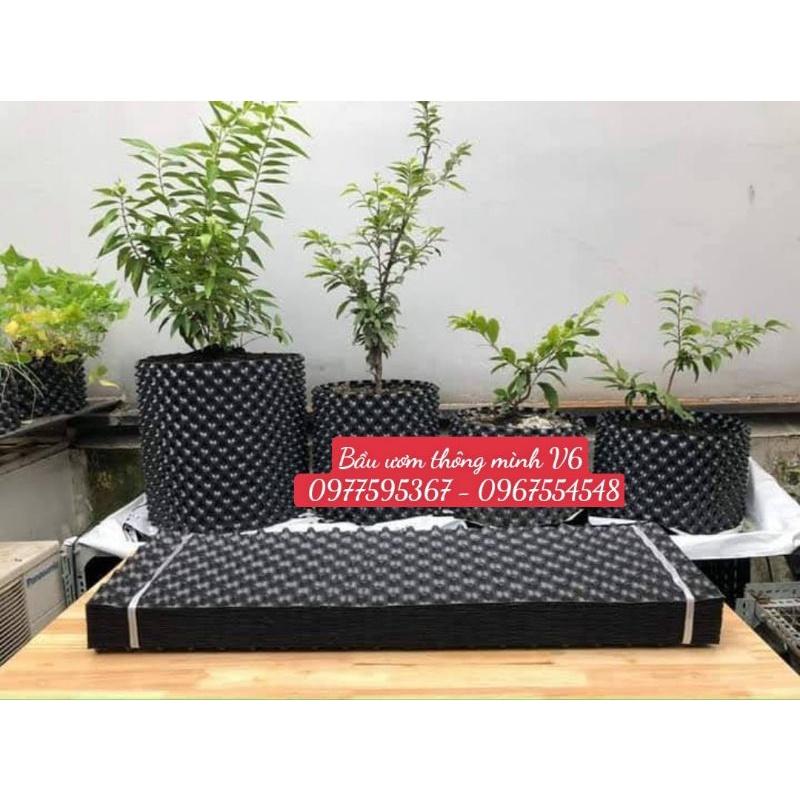 Bầu ươm V6 30 cm dày 0.7mm tặng kèm ốc vit