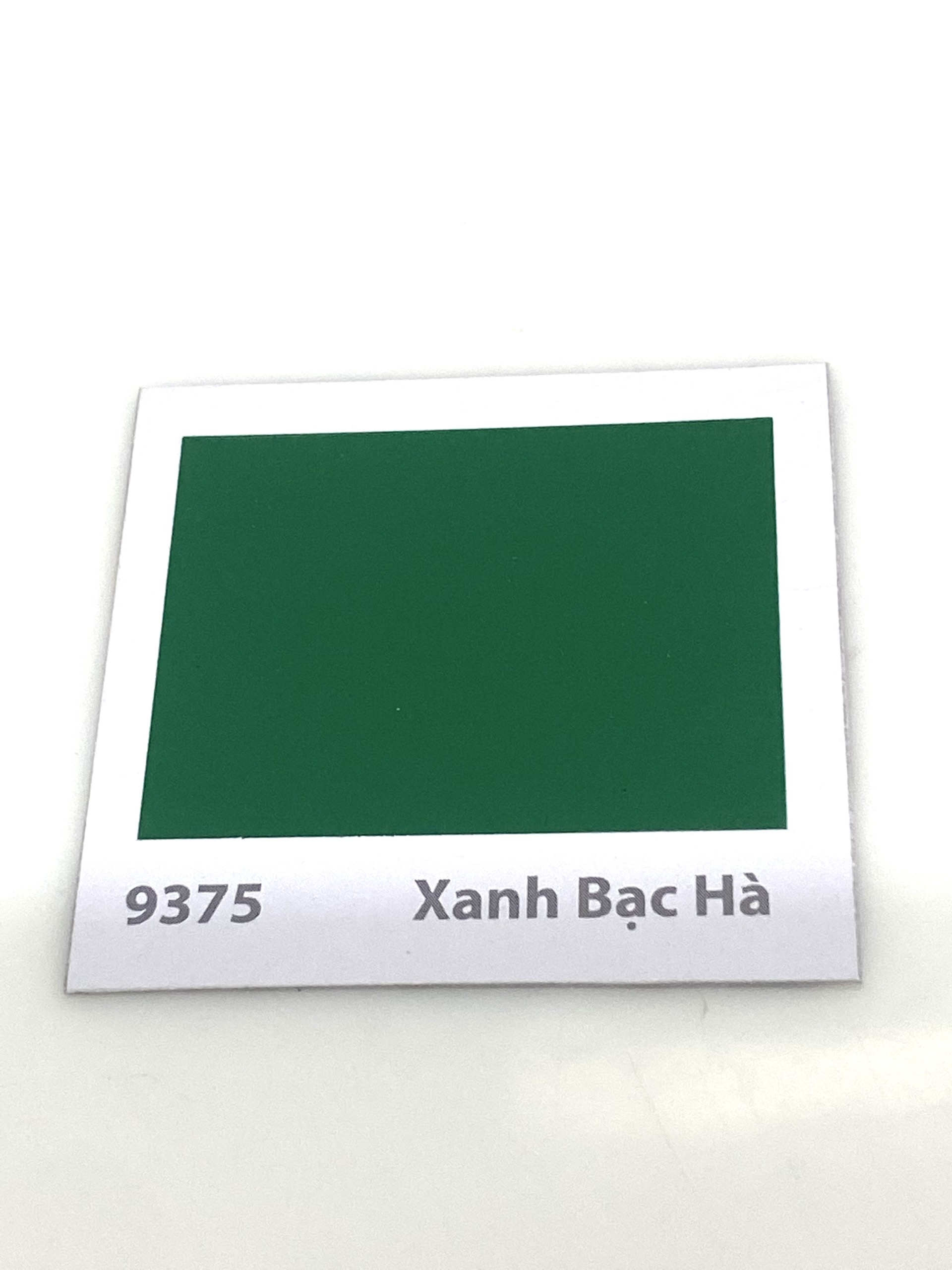 Sơn sàn bê tông Donasa /Floor coating Paint màu Xanh bạc hà DEF 9375 3L