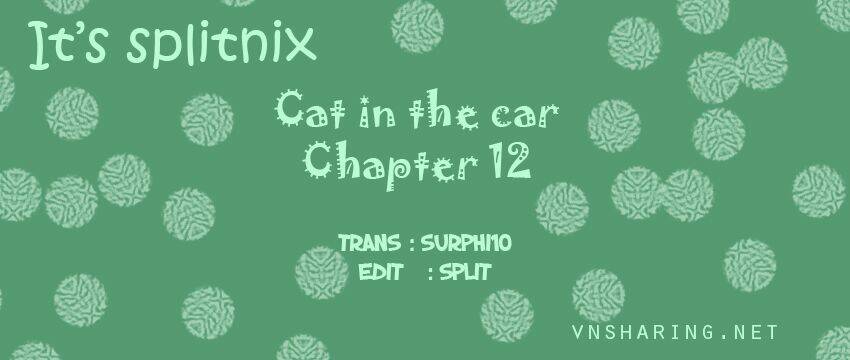 cat in the car chapter 12 1