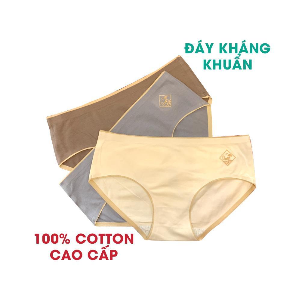 Quần Lót Nữ Q02 Mã O2 Cotton Y Tế Với Đáy Kháng Khuẩn Ép Không Đường May Mặc Thoải Mái Mặc Trong Váy Không Lằn - giao màu ngẩu nhiên
