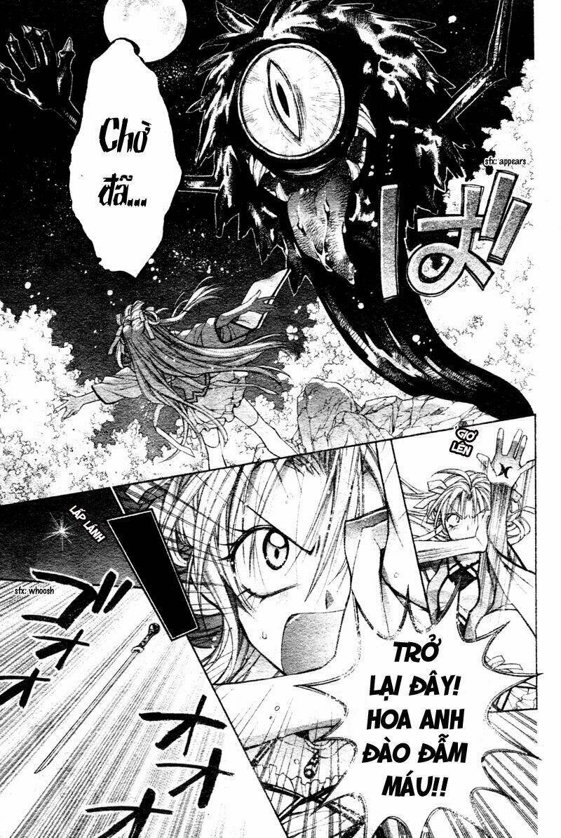 truyền thuyết công chúa hoa anh đào chapter 1 41