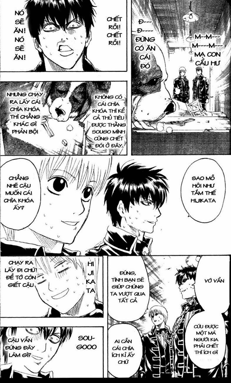 gintama - linh hồn bạc chapter 234 17