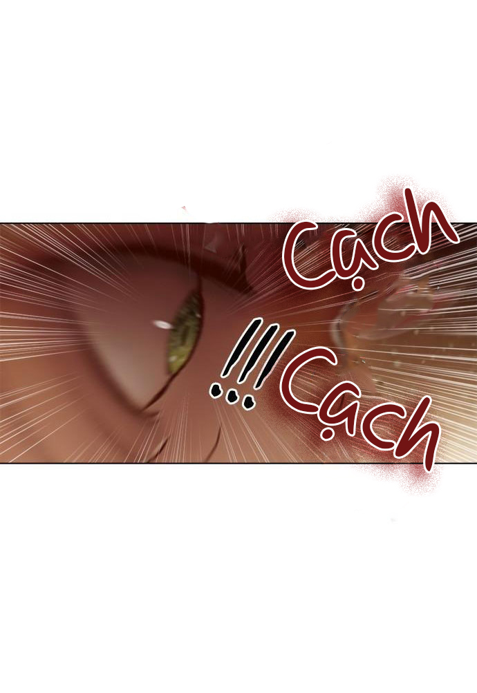 tôi chính là nhà sưu tập chim chapter 9 43