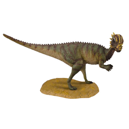 Mô hình thu nhỏ: Khủng Long Pachycephalosaurus - Pachycephalosaurus , hiệu: CollectA, mã HS 9654090 - Chất liệu an toàn cho trẻ - Hàng chính hãng