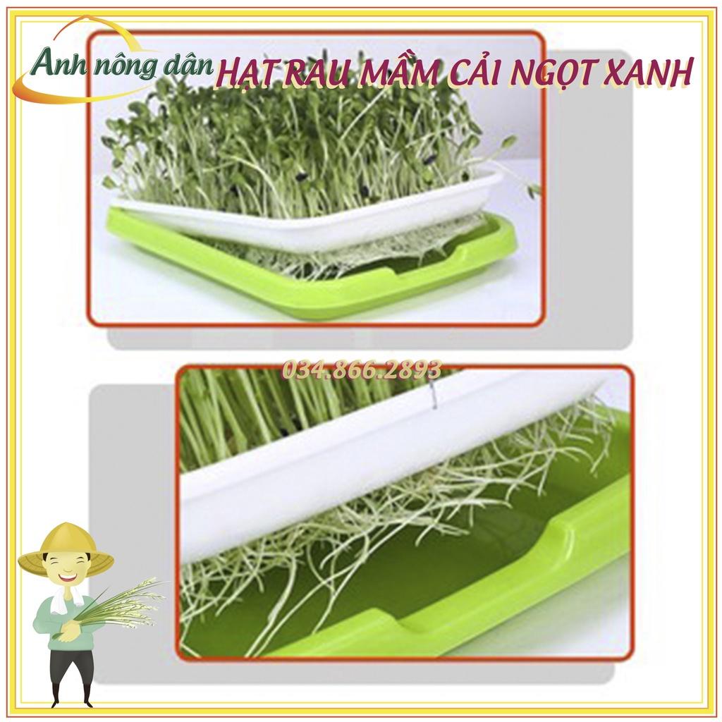 Set 3 Gói 50g Hạt rau mầm rau cải ngọt Xanh - Hạt rau mầm giá rẻ, nảy mầm đồng đều