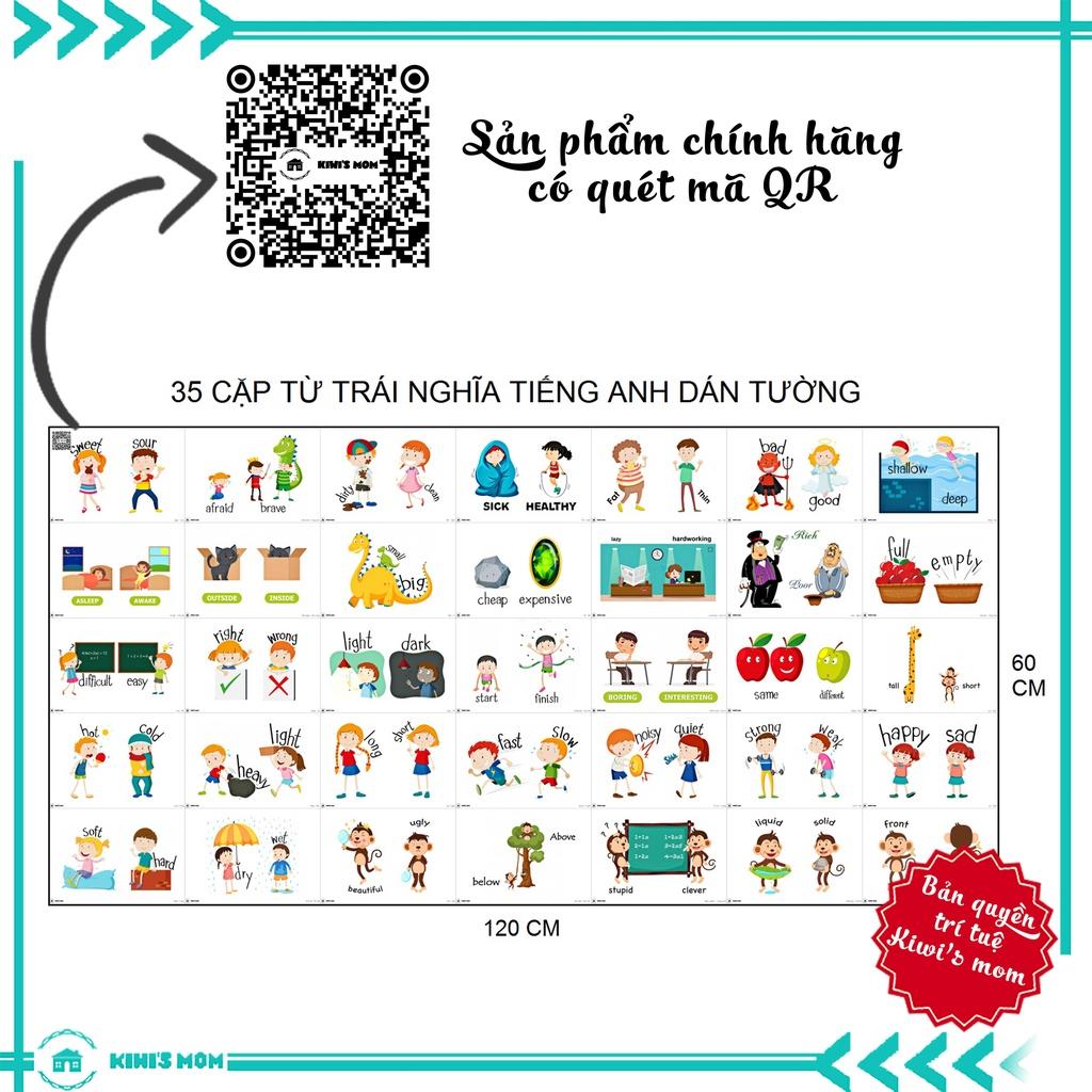 DECAL Cặp từ trái nghĩa KIWI'S MOM 4 lớp cao cấp chống nước