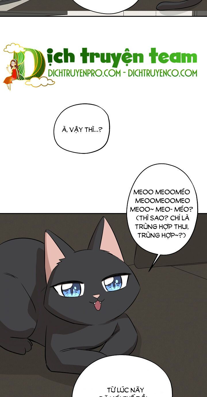cuộc sống kỳ thú chapter 67 36
