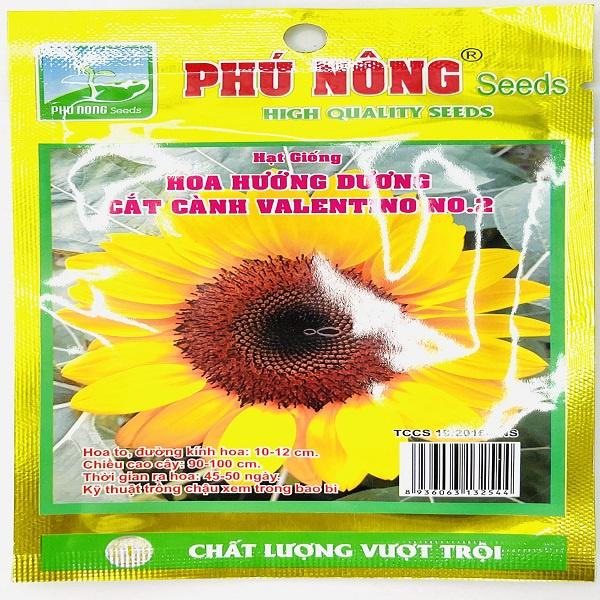Hạt giống hoa hướng dương cắt cành valentino NO.2